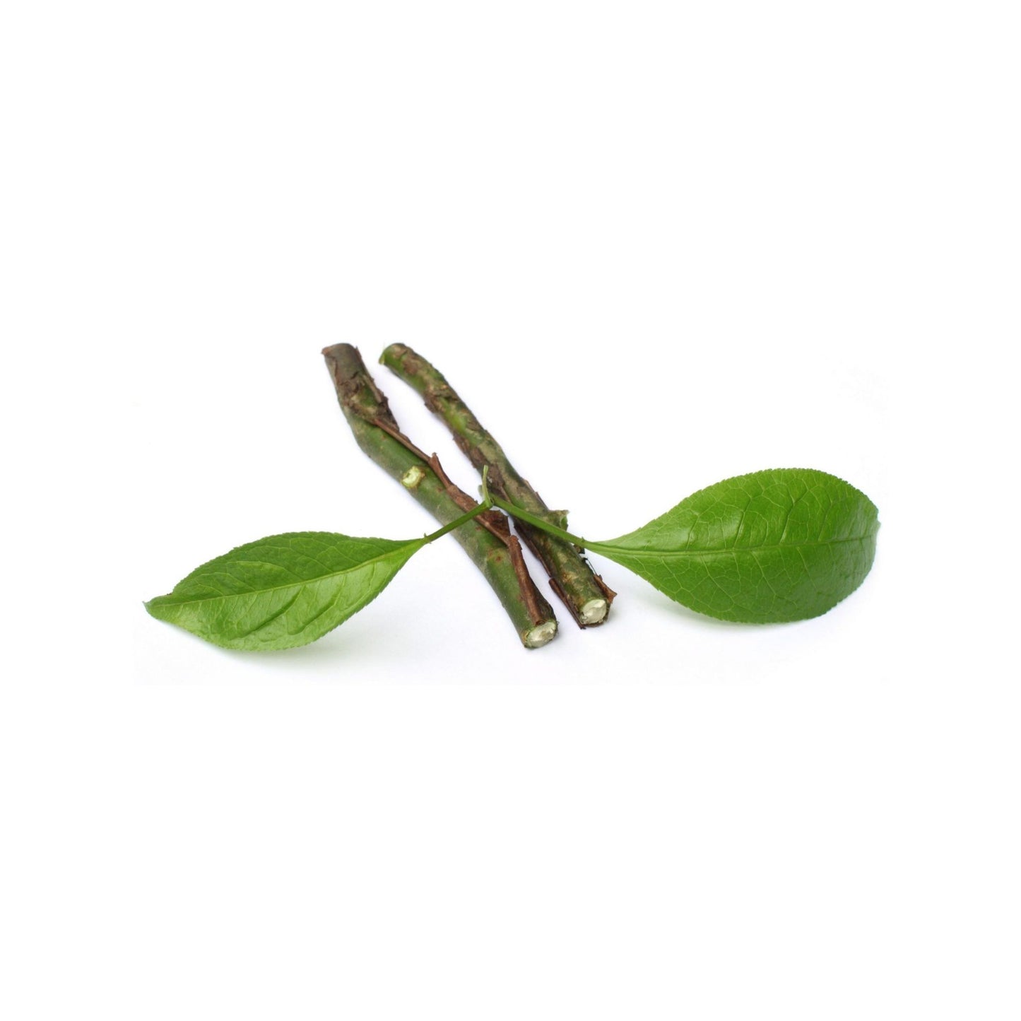 100% PURE AMYRIS ESSENTIAL OIL