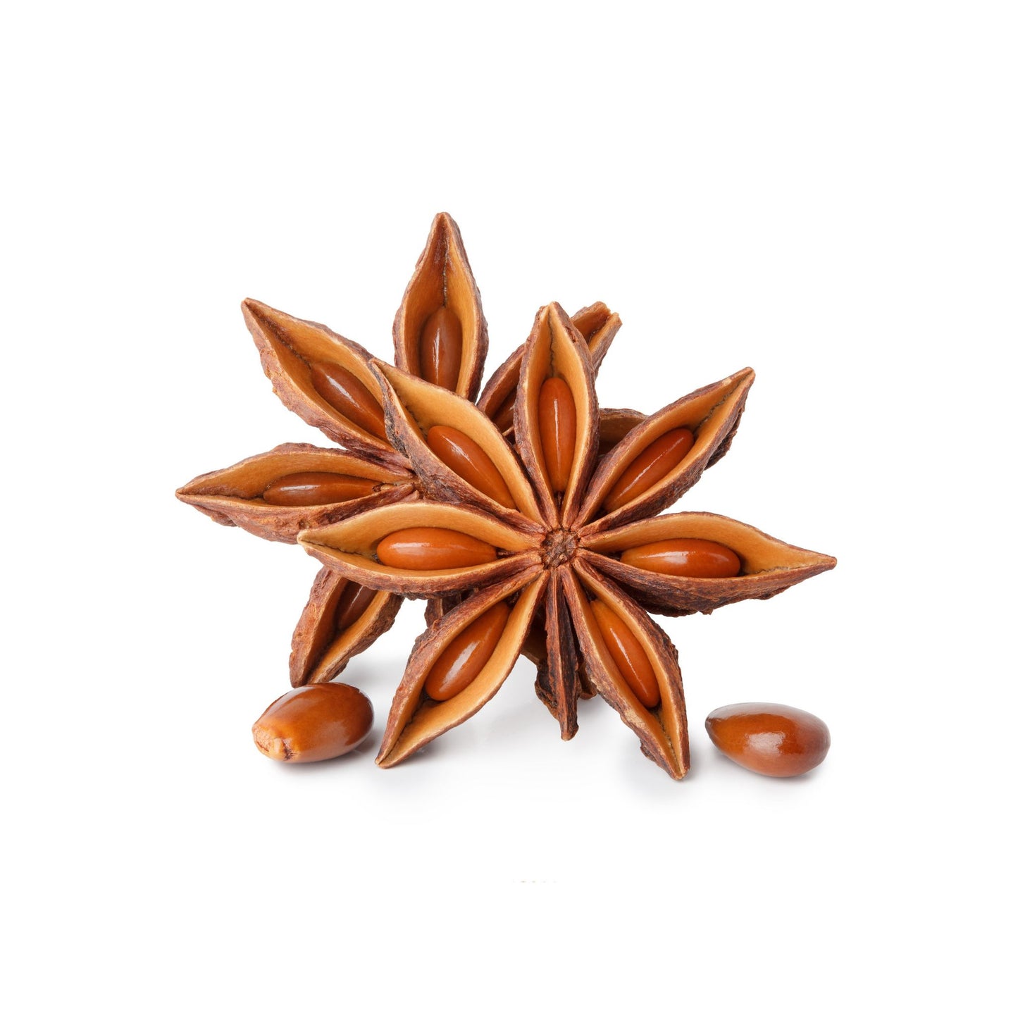 100% PURE ANISE SEED ESSENTIAL OIL
