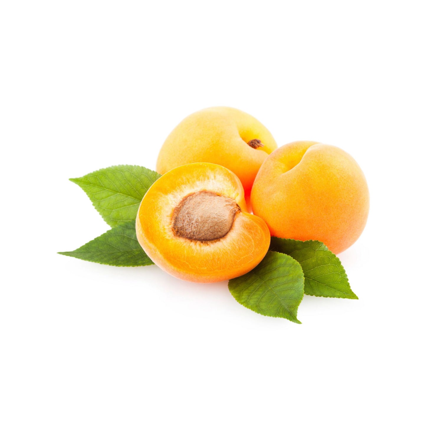 REFINED APRICOT KERNEL CARRIER / BASE OIL