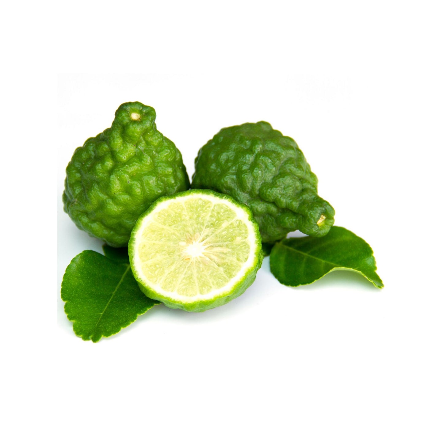 BERGAMOT PREMIUM FRAGRANCE OIL