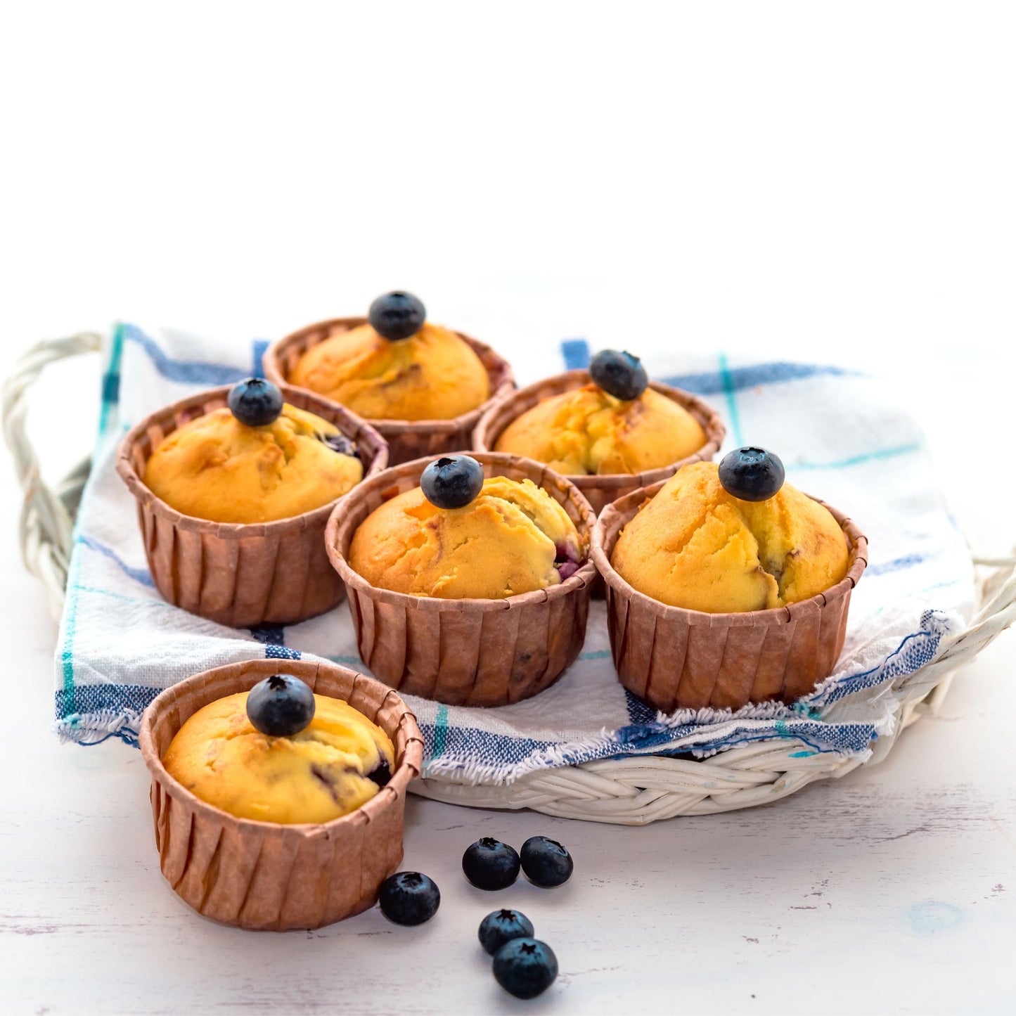 BLUEBERRY MUFFIN PREMIUM FRAGRANCE OIL