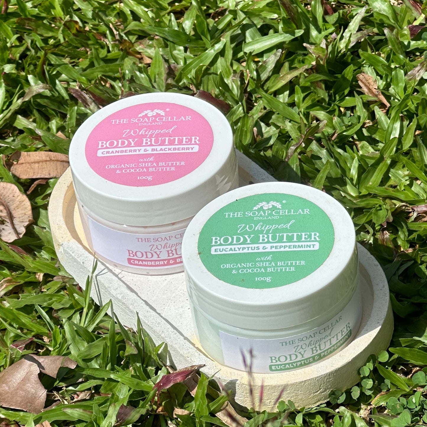WHIPPED BODY BUTTER
