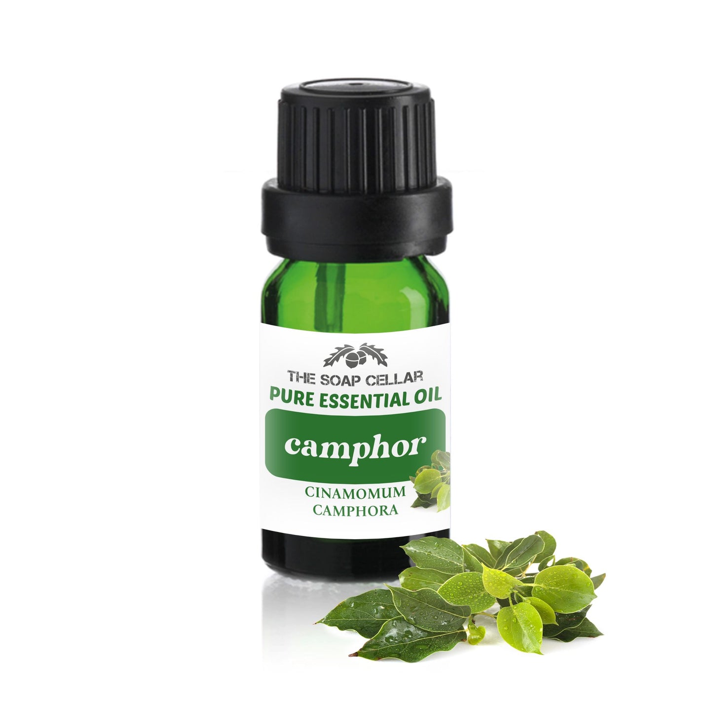 100% PURE CAMPHOR ESSENTIAL OIL