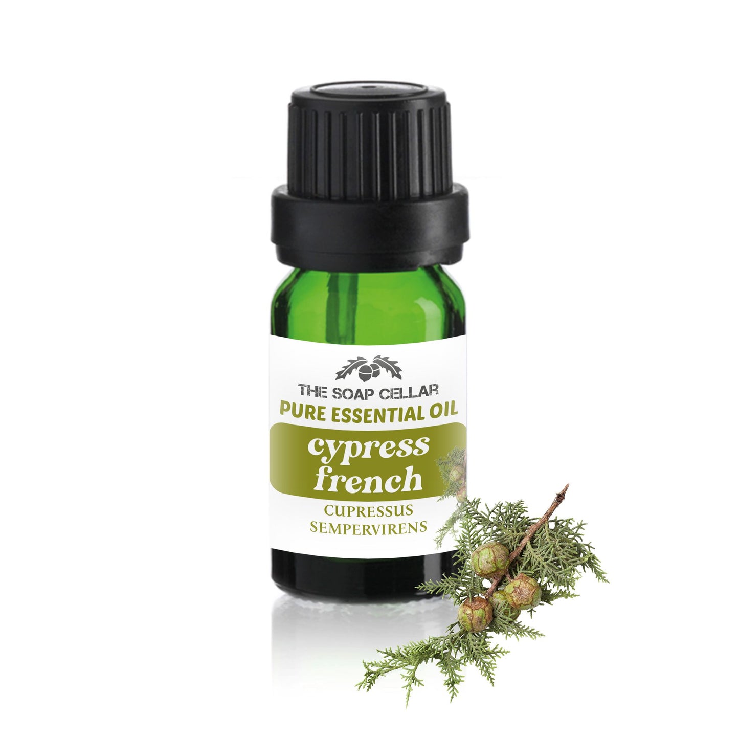 100% PURE FRENCH CYPRESS ESSENTIAL OIL