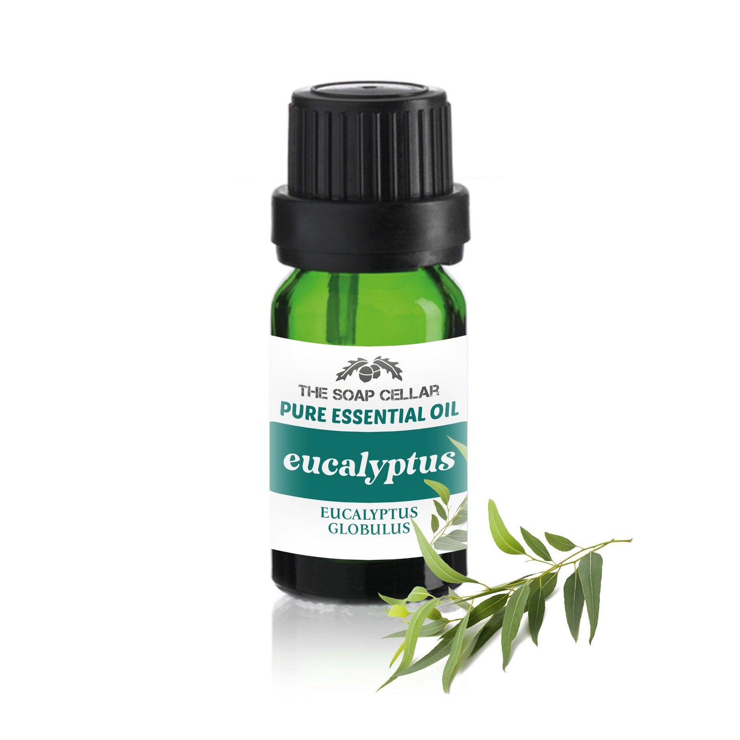 100% PURE EUCALYPTUS GLOBULUS ESSENTIAL OIL