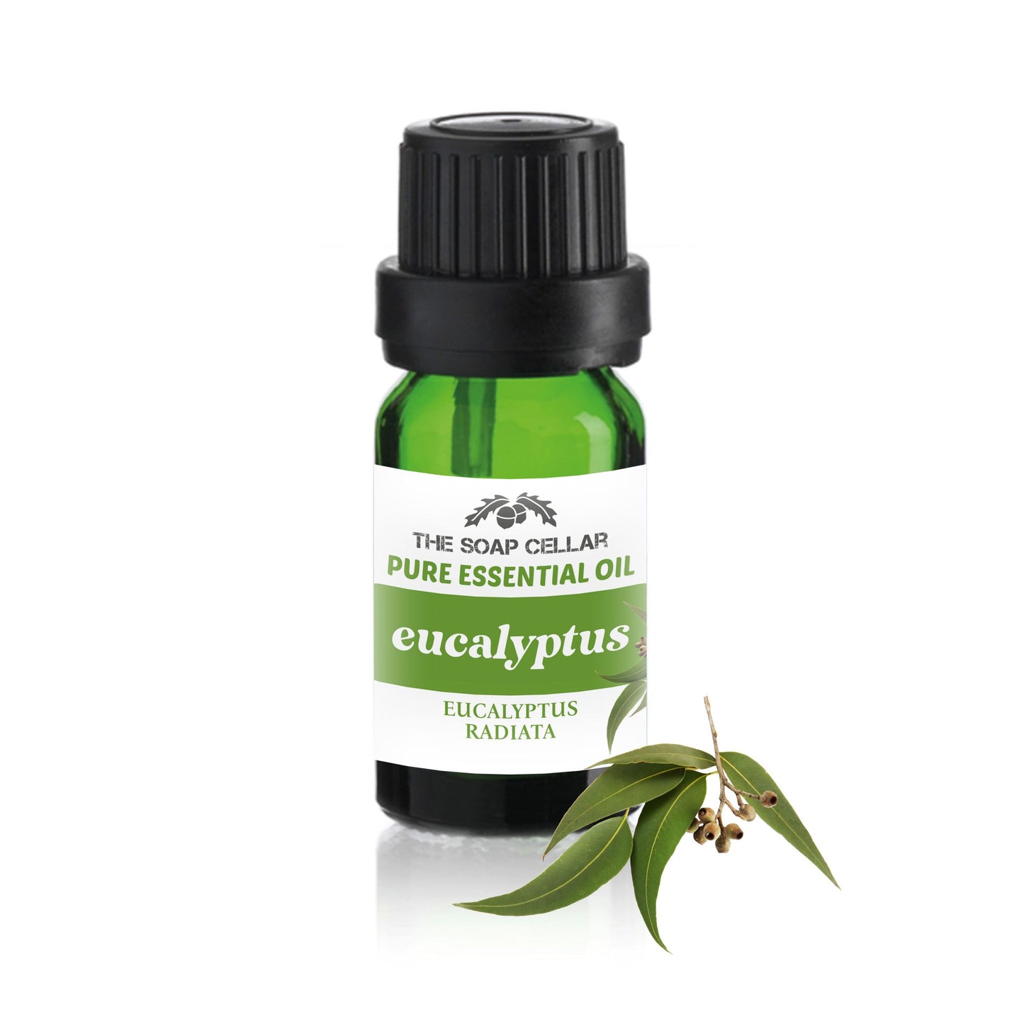 100% PURE EUCALYPTUS RADIATA ESSENTIAL OIL