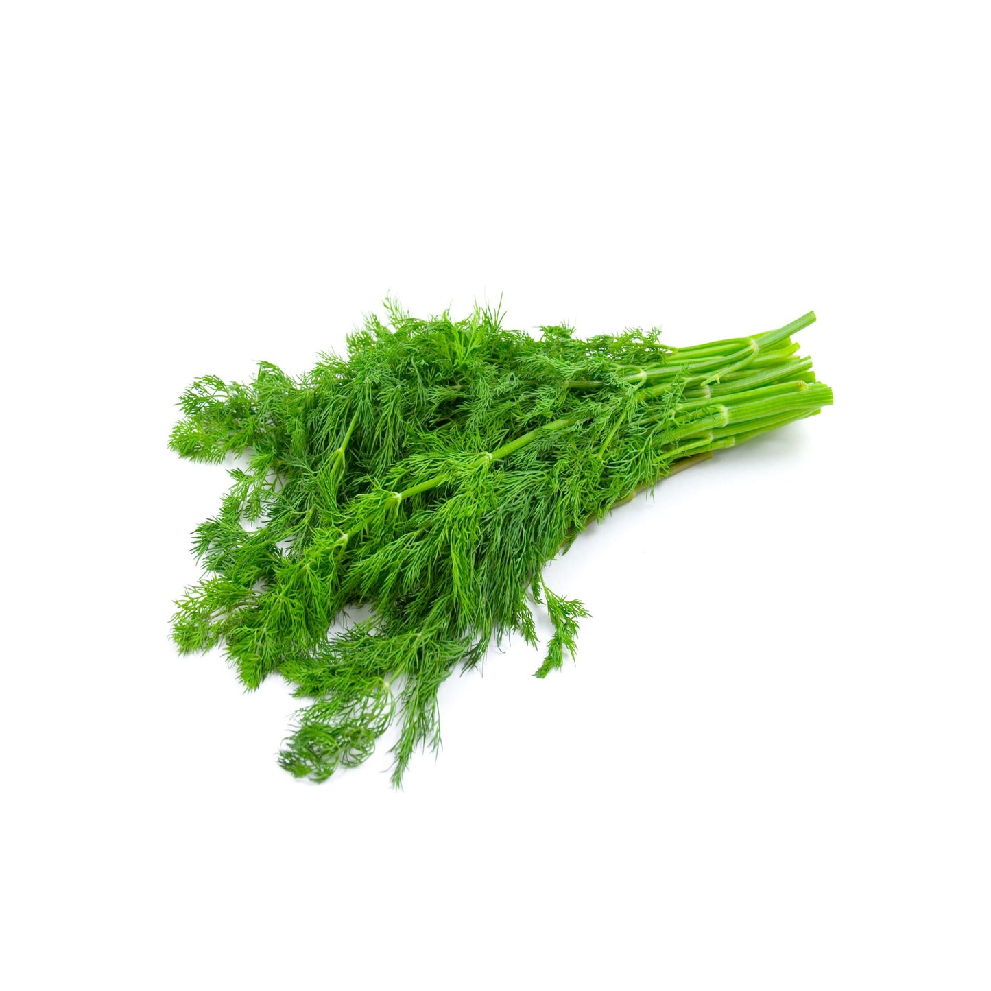 100% 纯甜茴香精油