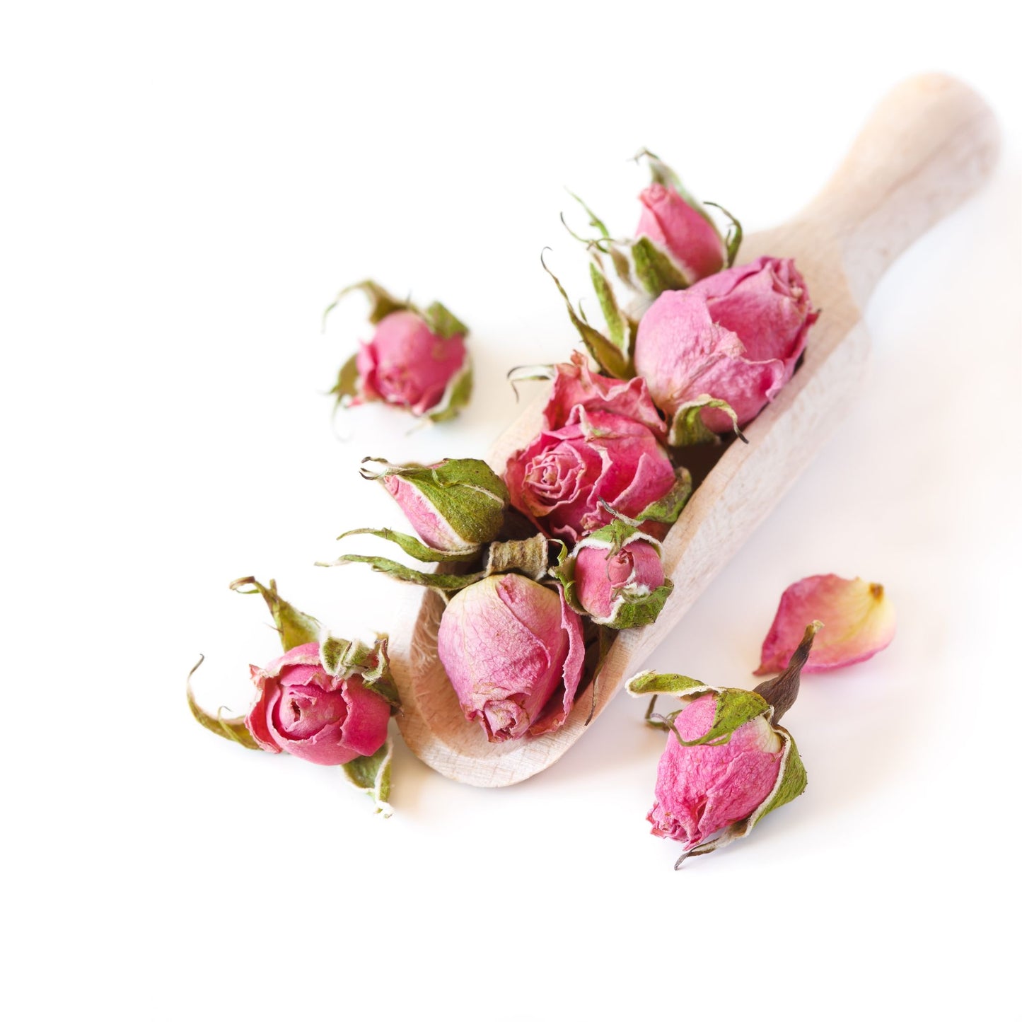 FRENCH ROSE FLOWER TEAS