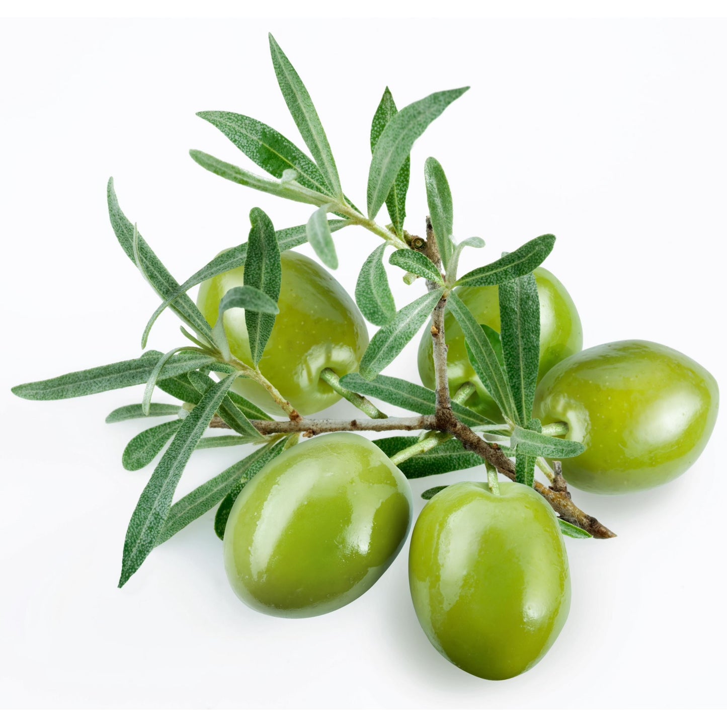 FRESH OLIVE PREMIUM FRAGRANCE OIL
