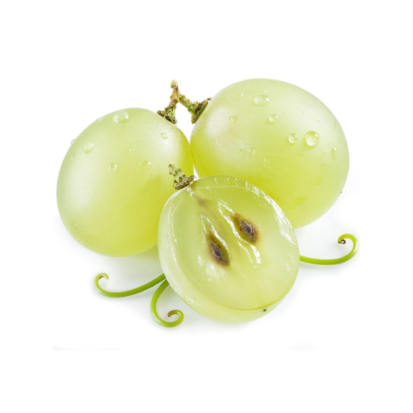 GRAPE SEED CARRIER / BASE OIL