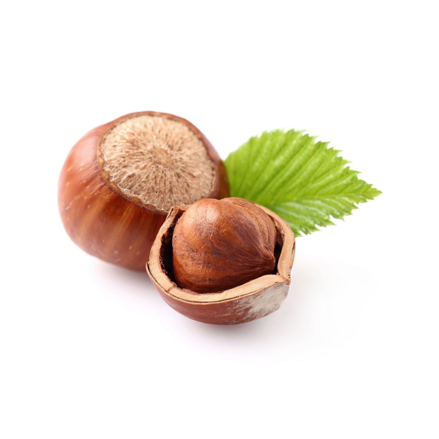 REFINED HAZELNUT CARRIER / BASE OIL