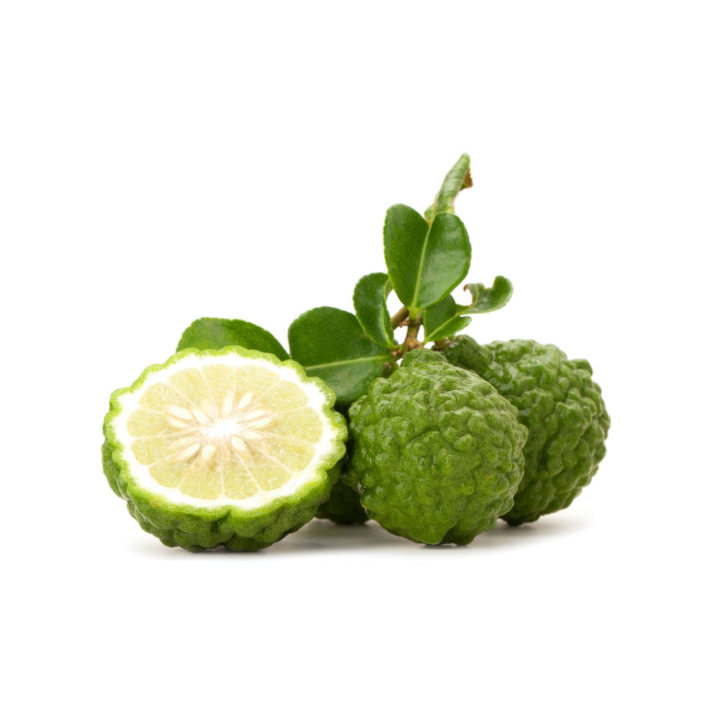 100% PURE KAFFIR LIME ESSENTIAL OIL