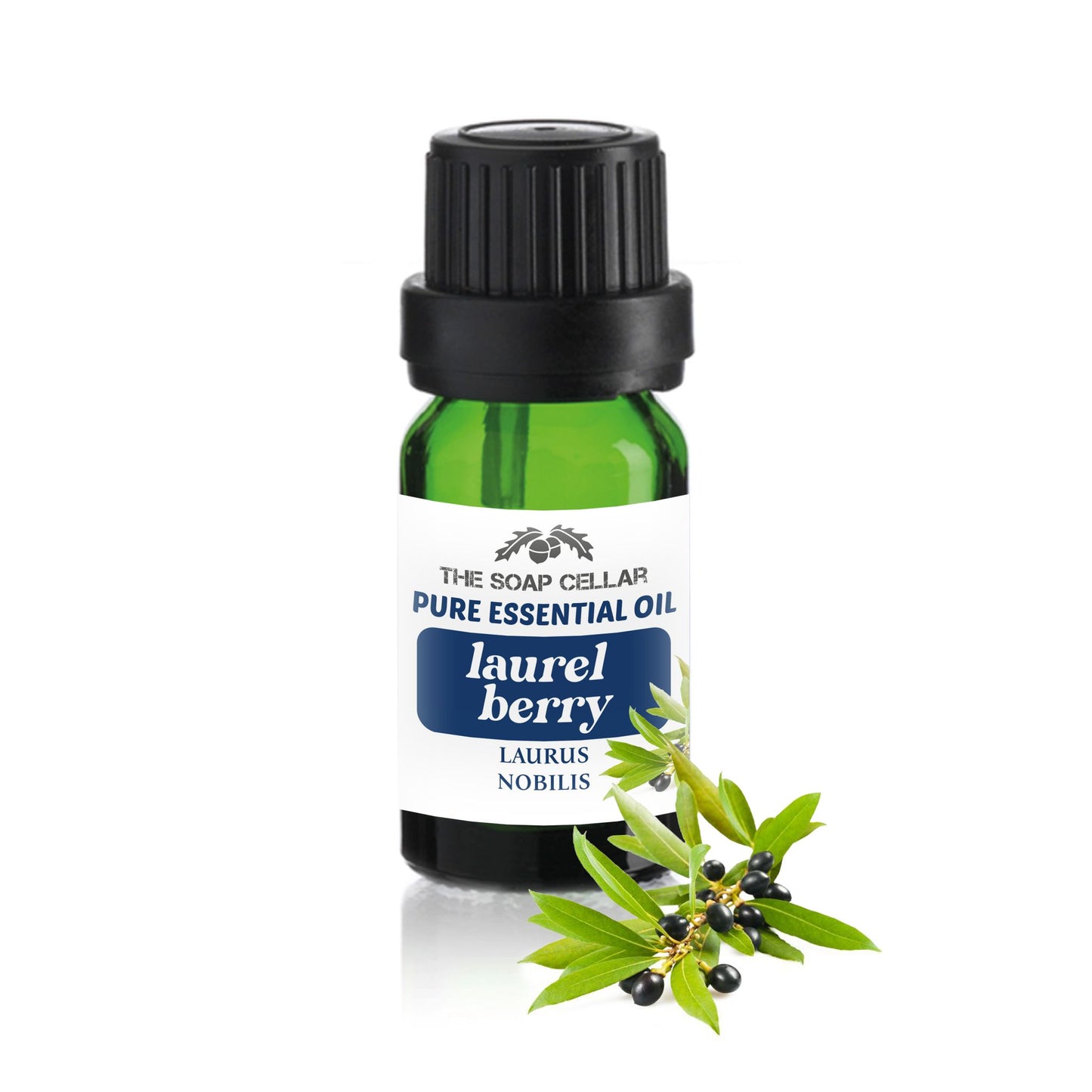 100% PURE LAUREL BERRY ESSENTIAL OIL