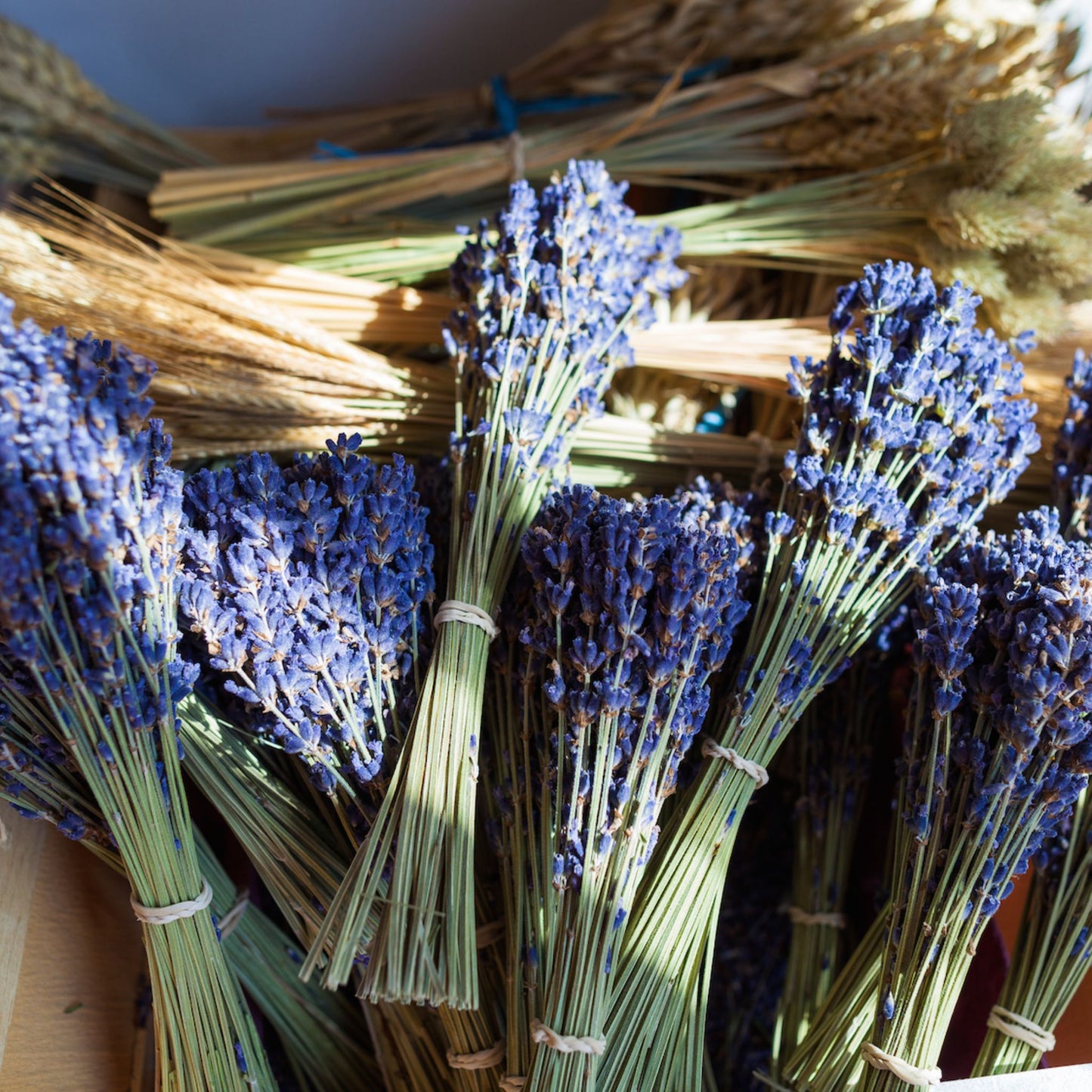 LAVENDER PREMIUM FRAGRANCE OIL