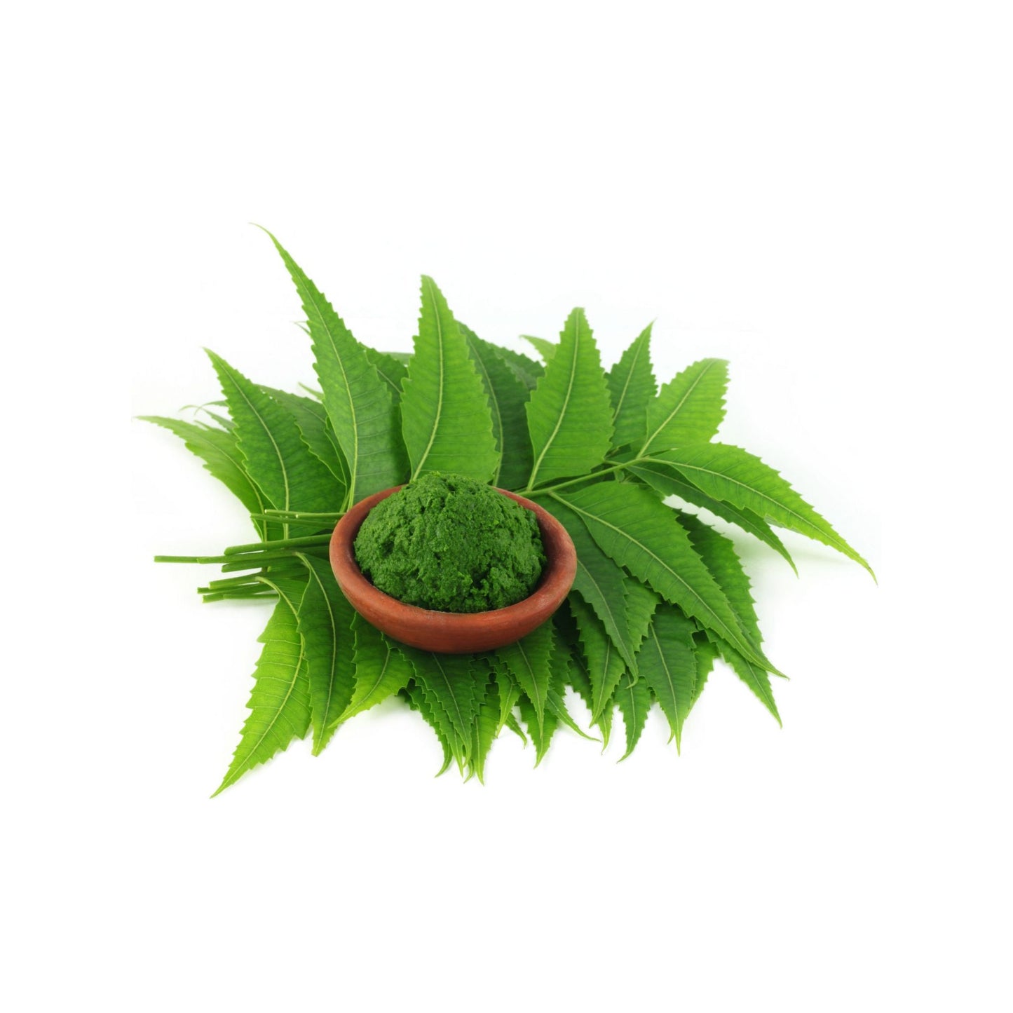 100% PURE NEEM ESSENTIAL OIL