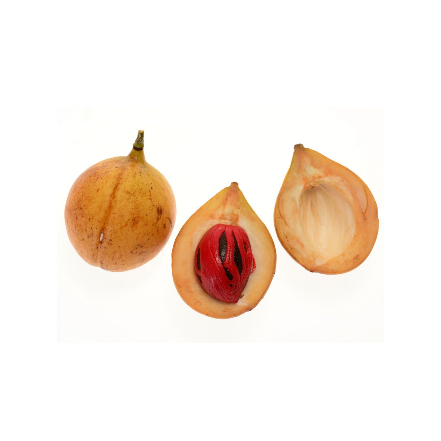 100% PURE NUTMEG ESSENTIAL OIL