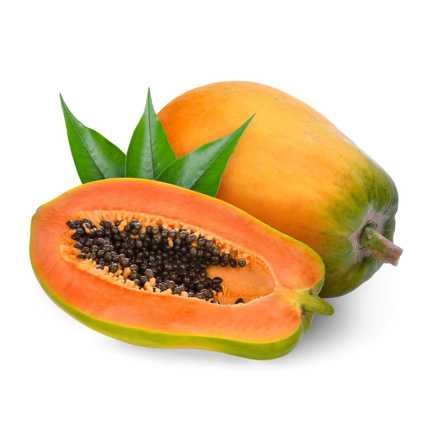 PAPAYA EXTRACT