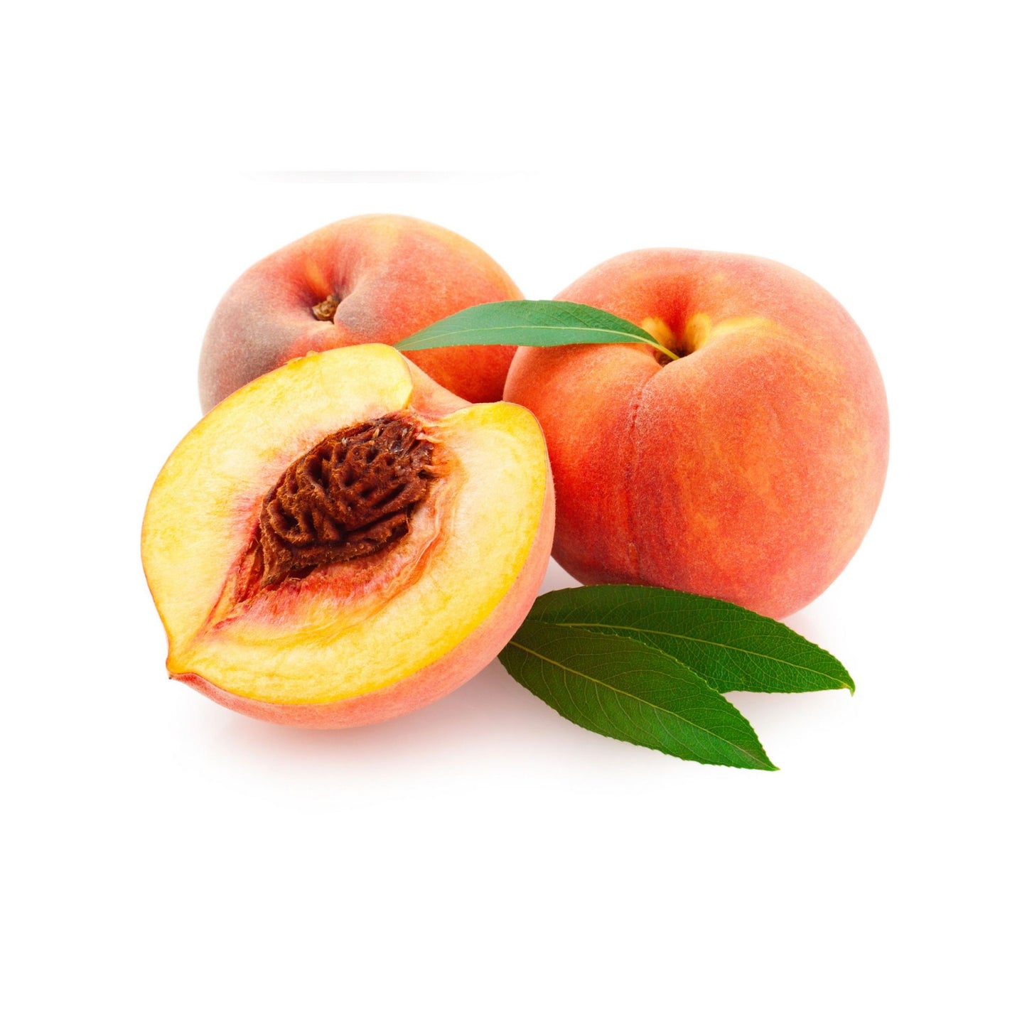 REFINED PEACH KERNEL CARRIER / BASE OIL