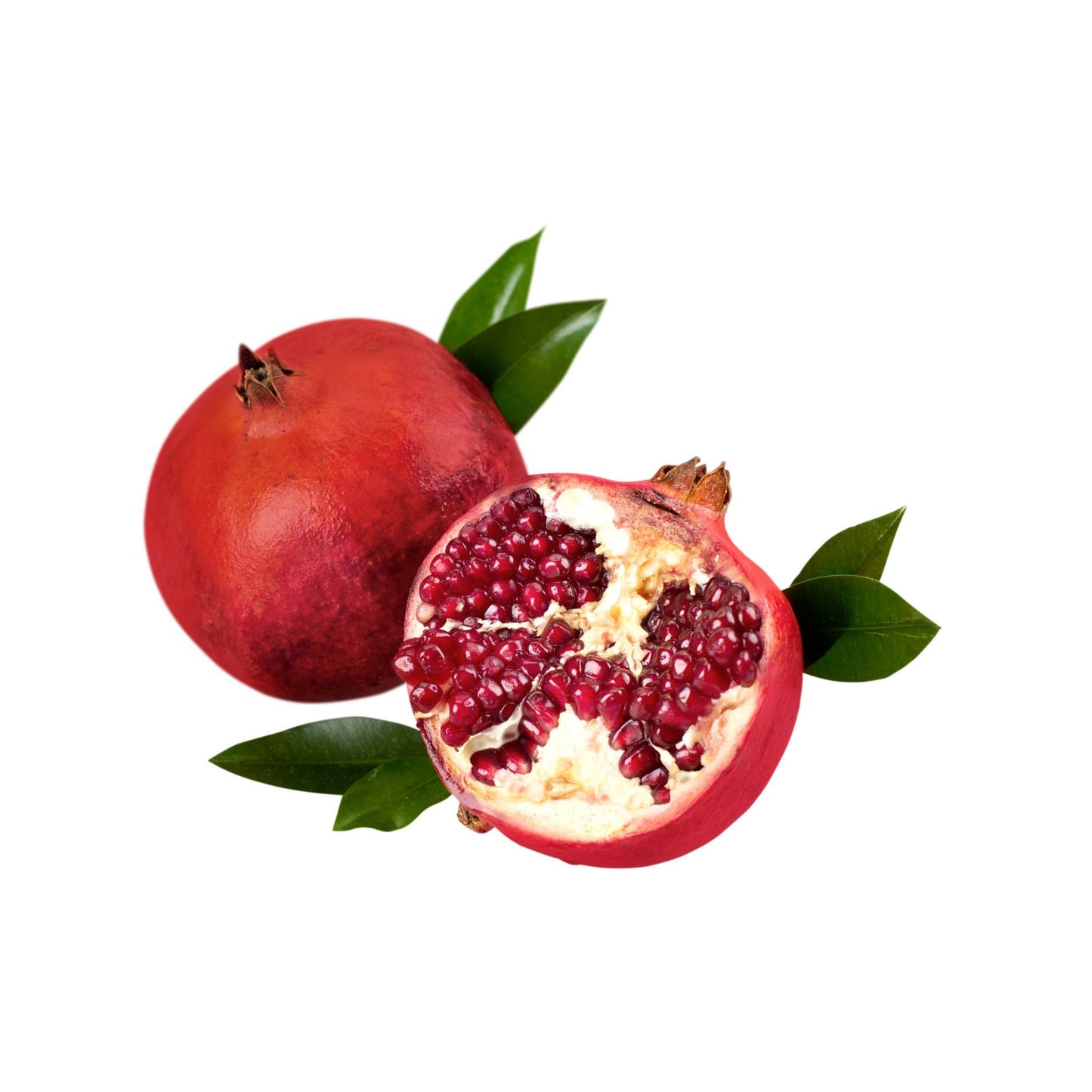 POMEGRANATE SEED CARRIER / BASE OIL