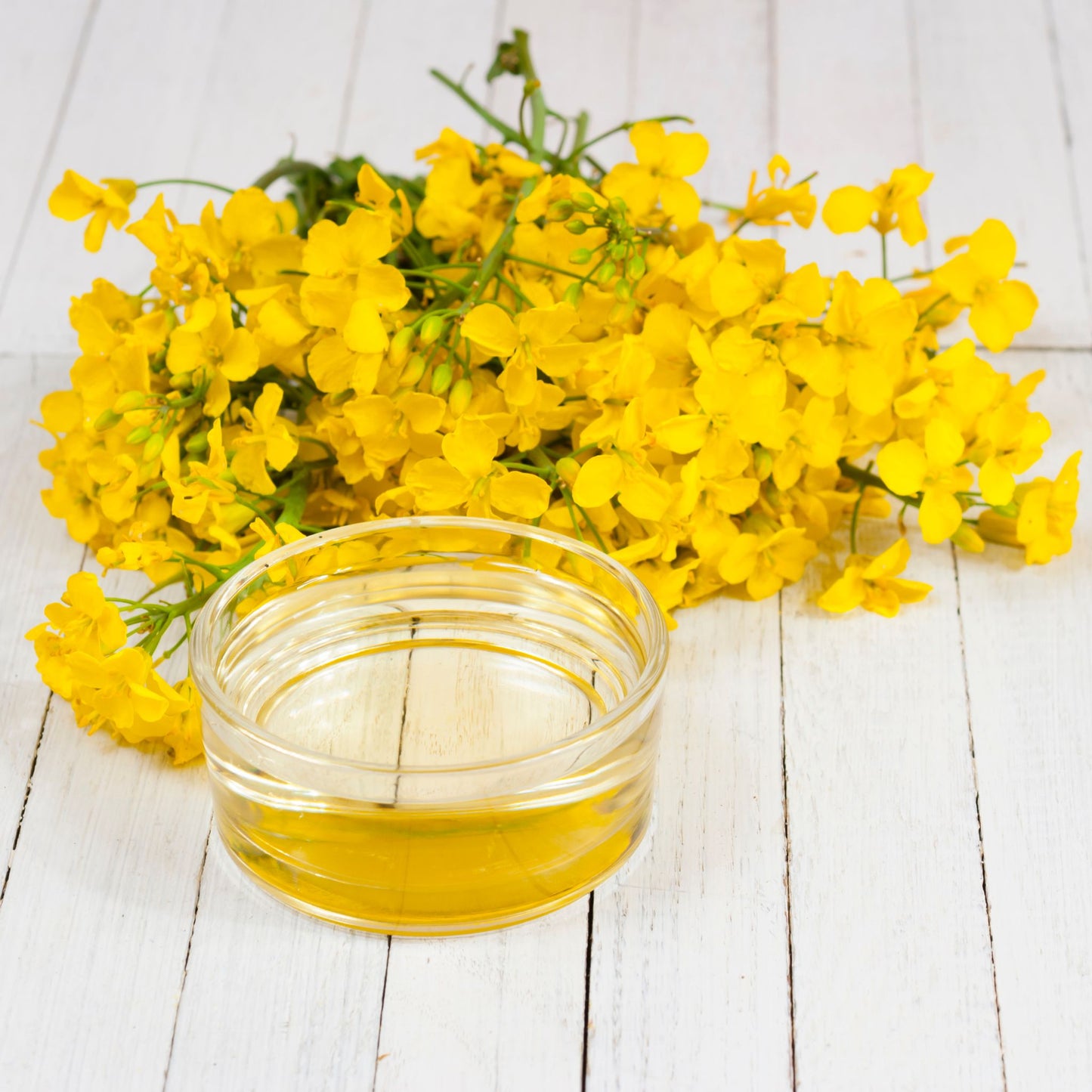 RAPESEED CARRIER / BASE OIL