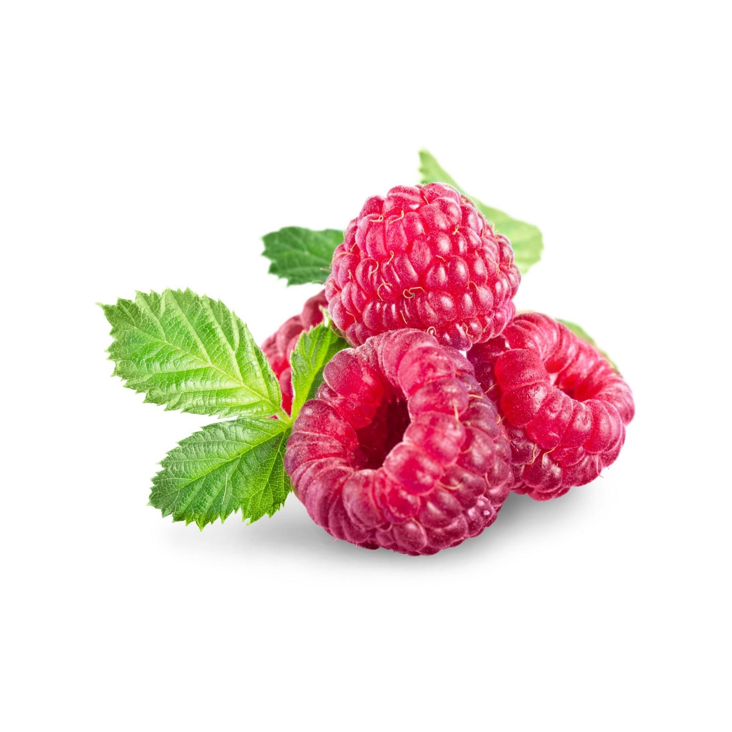 VIRGIN RASPBERRY SEED CARRIER / BASE OIL