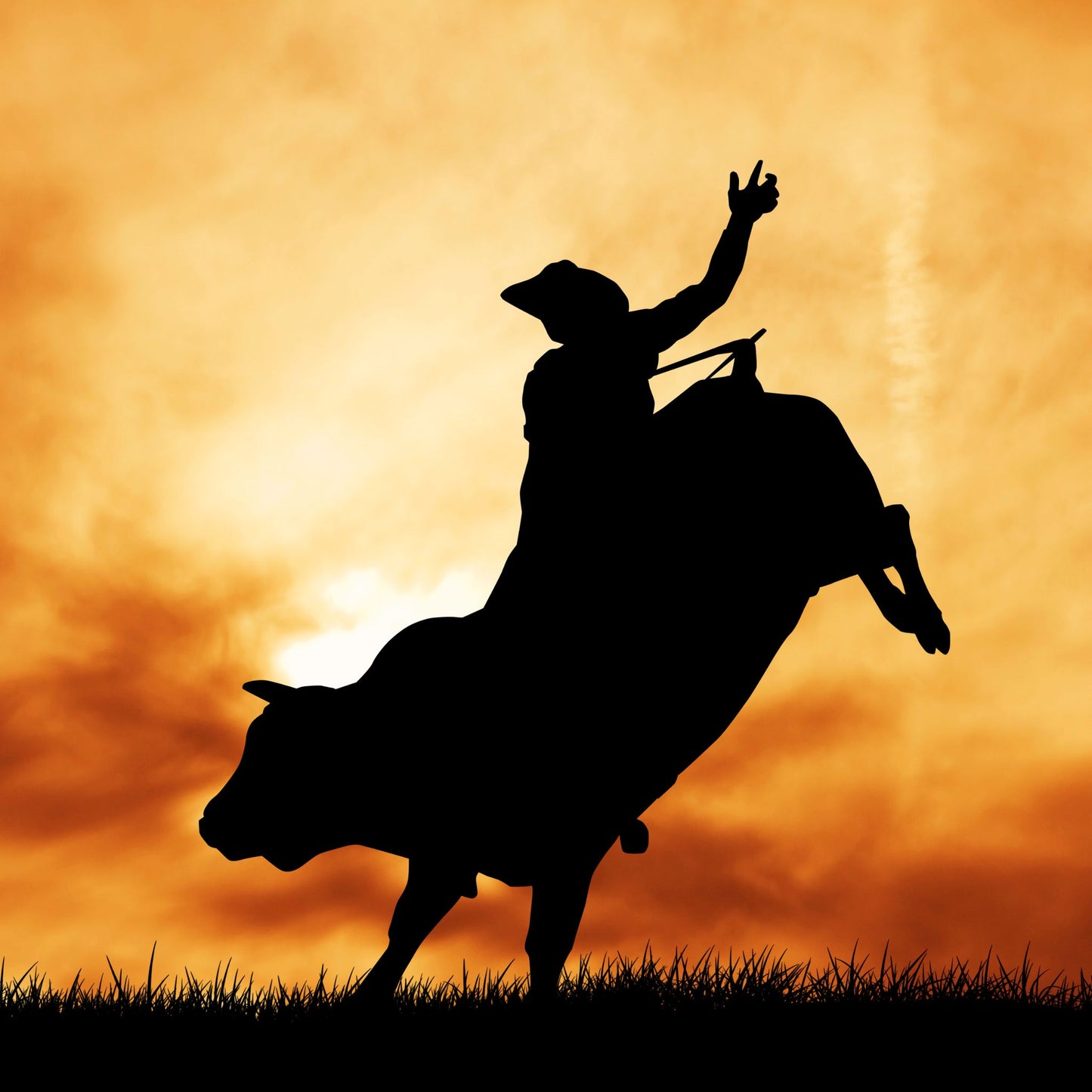 RODEO PREMIUM FRAGRANCE OIL