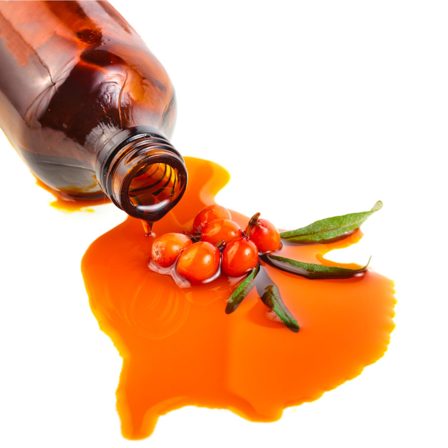 SEA BUCKTHORN EXTRACT