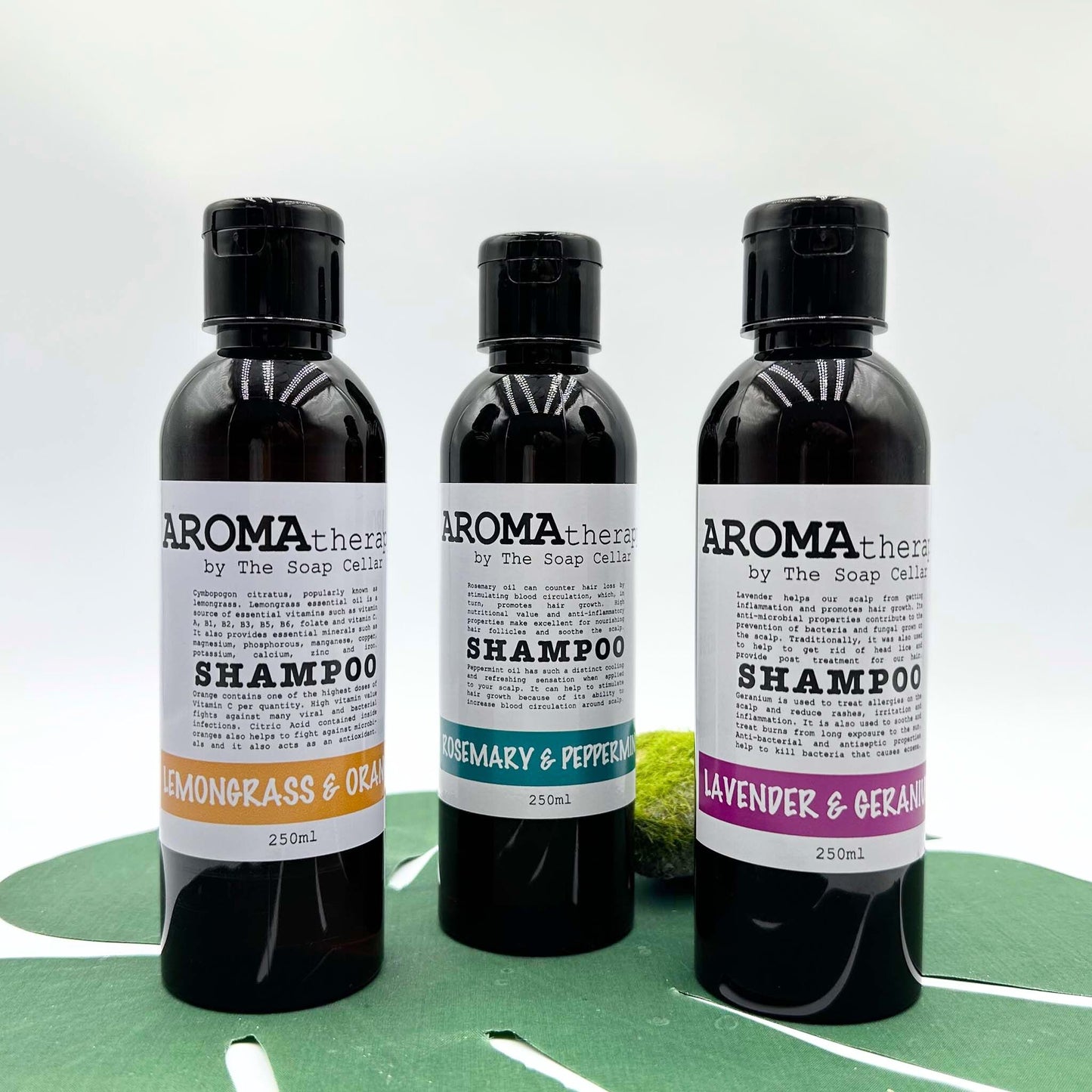 AROMATHERAPY SHAMPOO