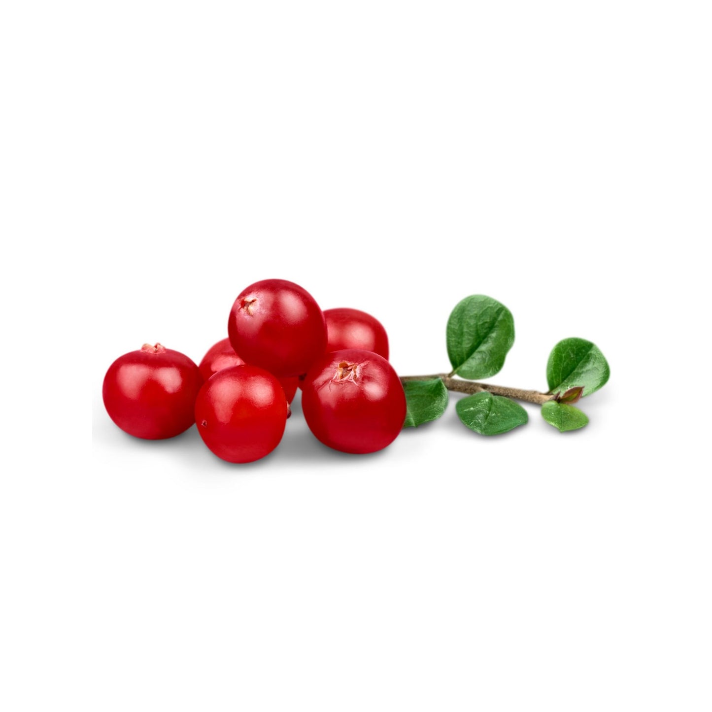 100% PURE SPIKENARD ESSENTIAL OIL