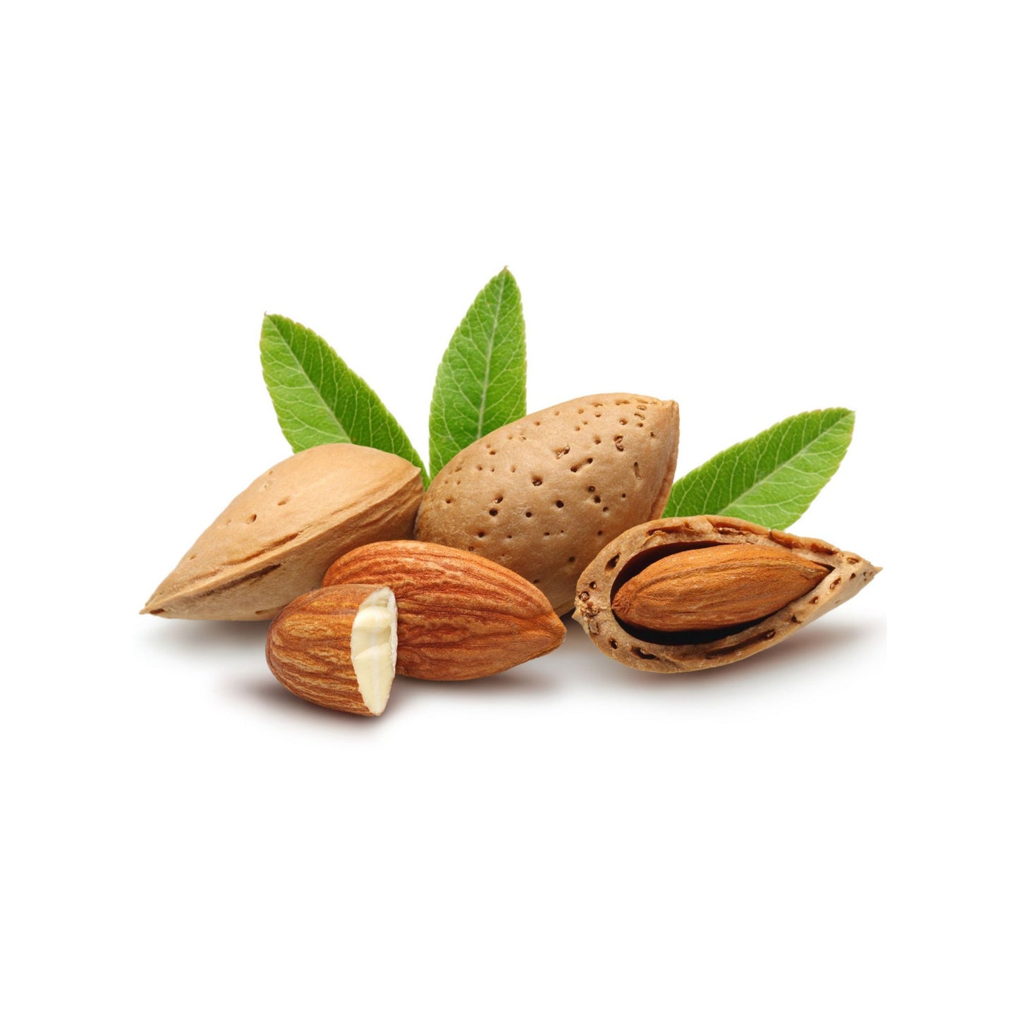 SWEET ALMOND CARRIER / BASE OIL