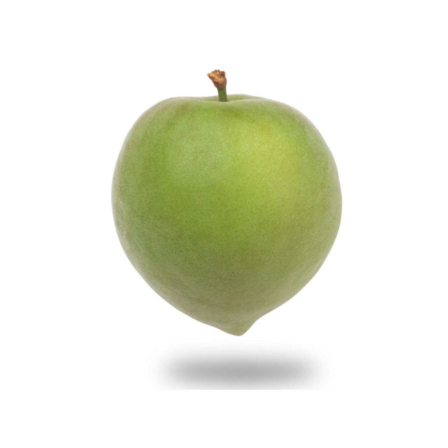 TAMANU CARRIER / BASE OIL