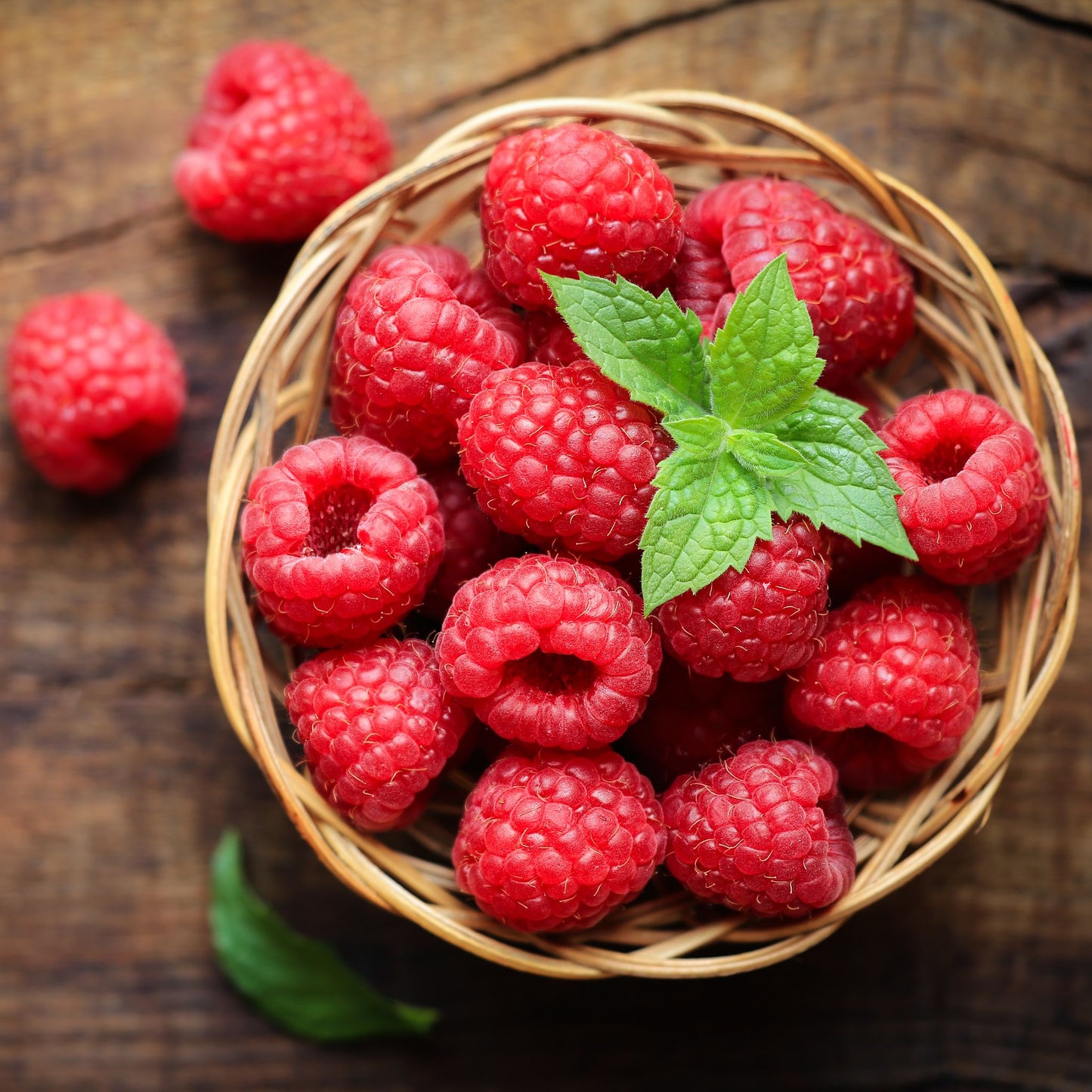 WILD RASPBERRY PREMIUM FRAGRANCE OIL